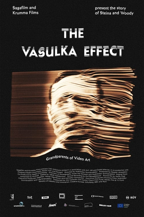 vasulka_effect